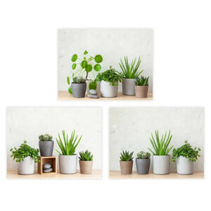 S/3 Quadro,piante in vaso,Pittura decorativa per il corridoio del bagno 30 X 1,50 X 40 CM