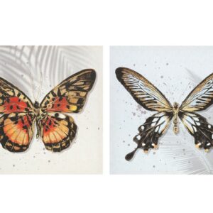 2/s Quadro [Farfalla] Pittura decorativa per il soggiorno Simulazione d'arte 40X40X1,5CM